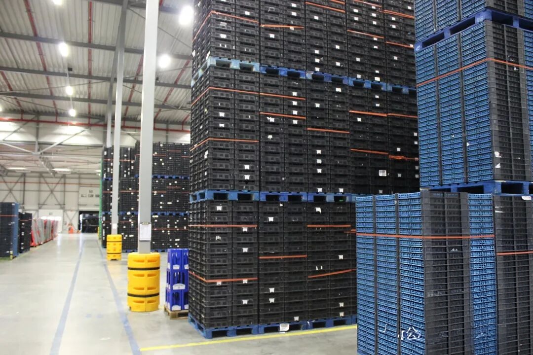 物流管理心得分享之载具管理